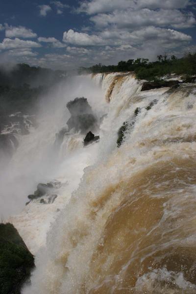 Argentinean Iguaçu