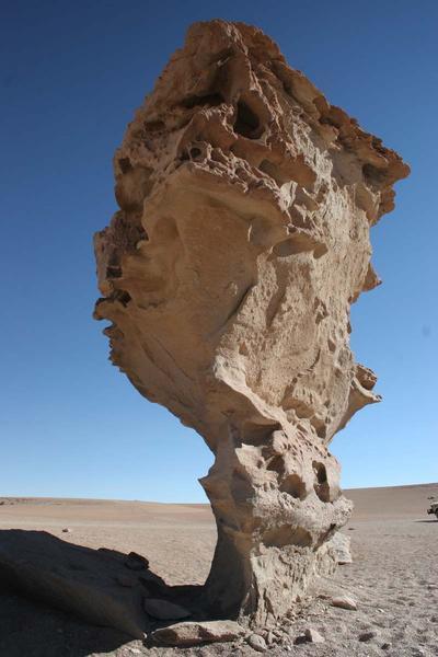 Arbol de Piedra (Stone Tree) 