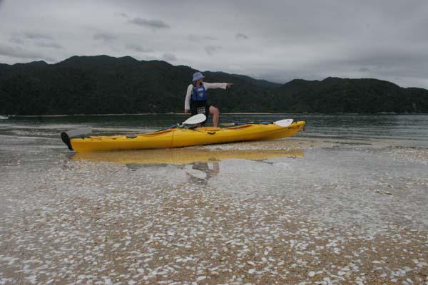 Kayak Landing