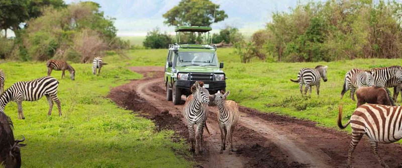 Safari-in-Tanzania1-1024x427
