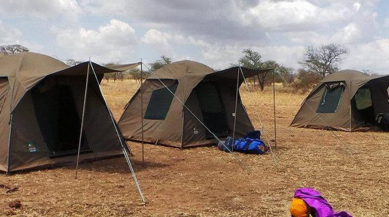 Serengeti  Nyani campsite