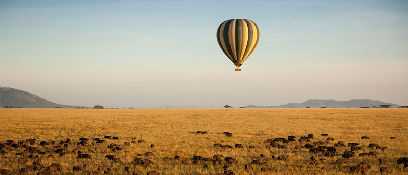 Tanzania safari photo