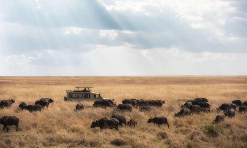 Tanzania Safari Tours1