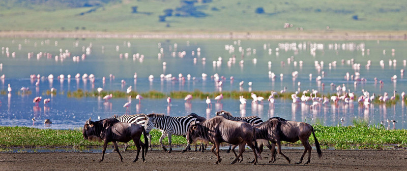 tanzania-classic-safaris