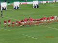 The Welsh team doing a bow to the crowd 