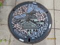One of my many man hole covers.