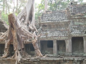 Preah Kahn, Angkor