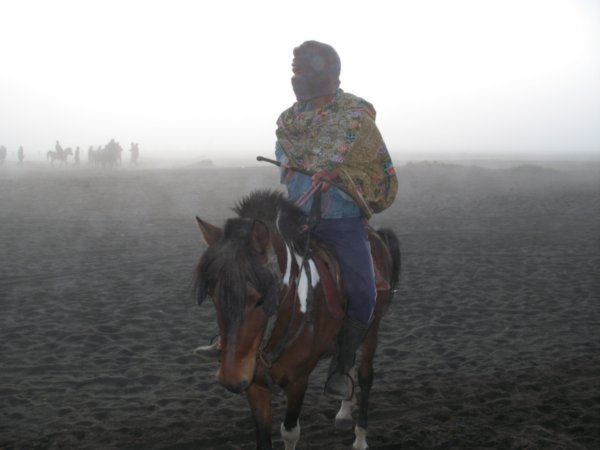 Horse rider in the morning mist.