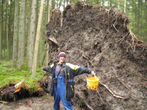 Me and an uprooted tree