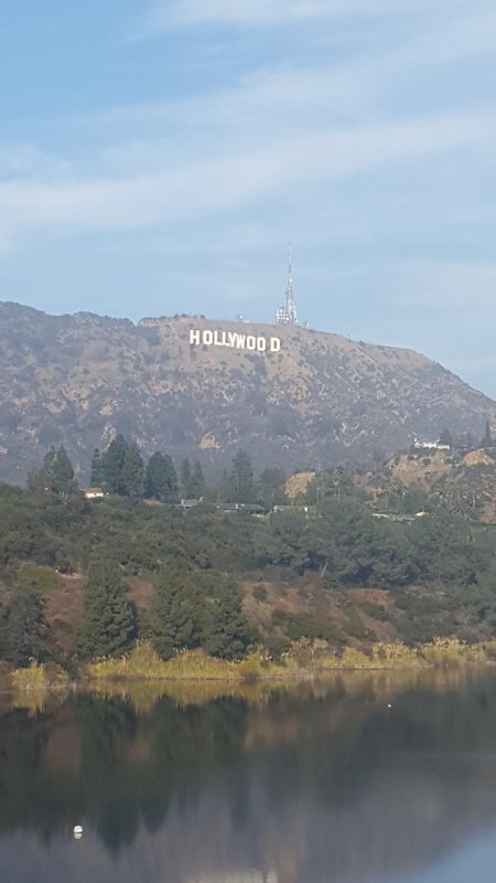 View from Hollywood Lake