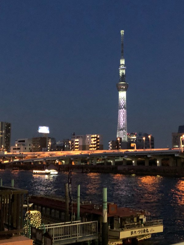 View from our bridge - Tokyo Skytree, tallest tower in Japan