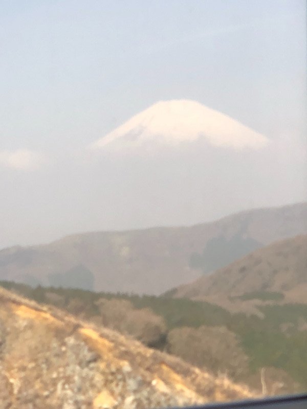 Mt. Fuji - Really!