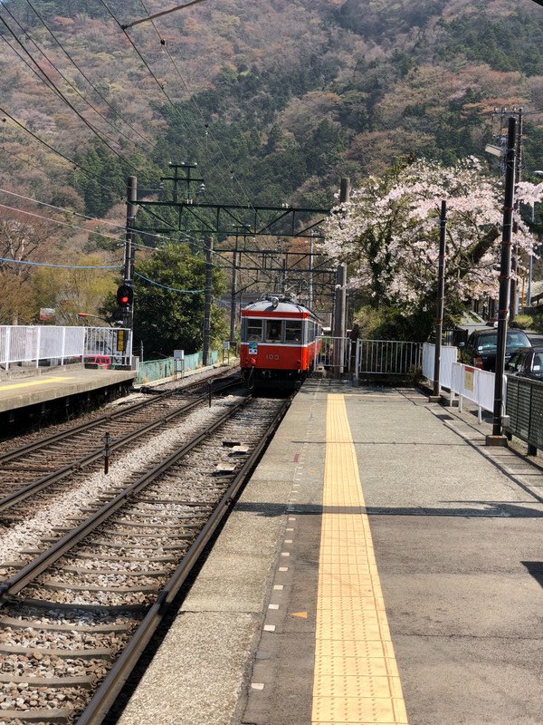 The Old Train, Old Tracks and Fresh Blossoms