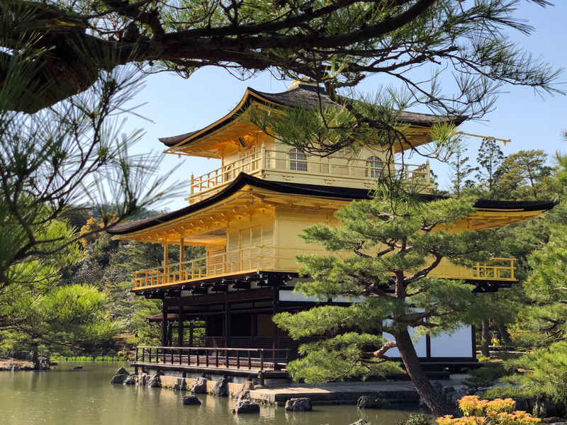 Golden Pavillion (Kinkakuji Temple)