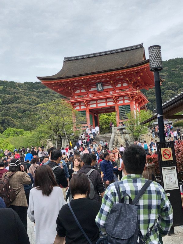 The local’s favourite - Kiyomizu-dera Temple