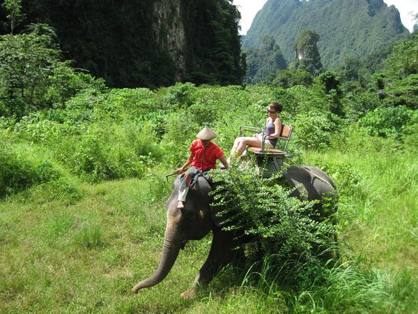 Elephant trek