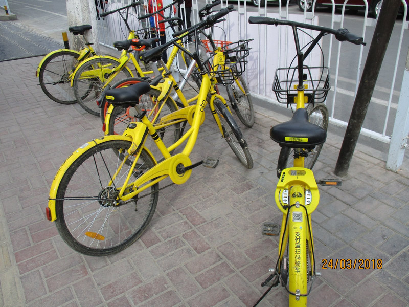 Typical rental bicycles
