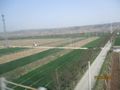 Fields near Xi 'an