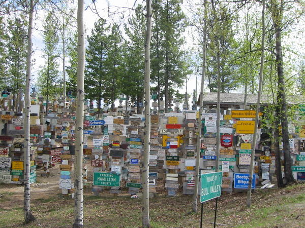 Sign post forest