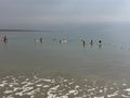Dead Sea 