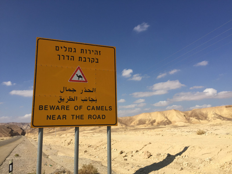 Beware of Camels 