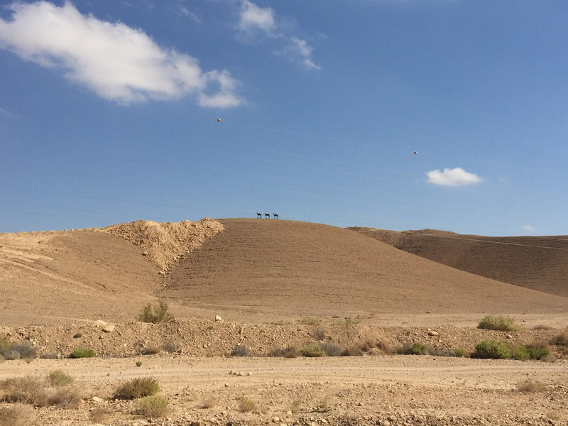 Negev Desert (2)