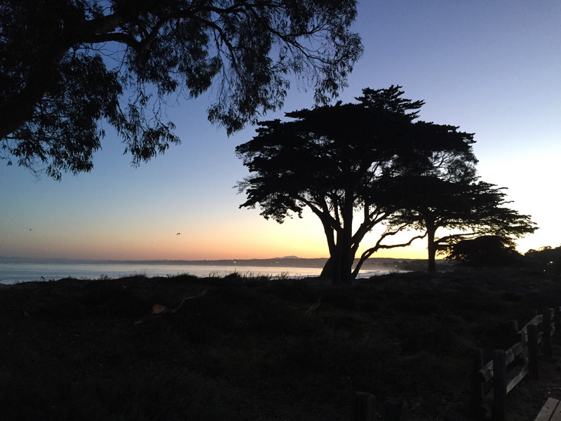Monterey coastal trail 