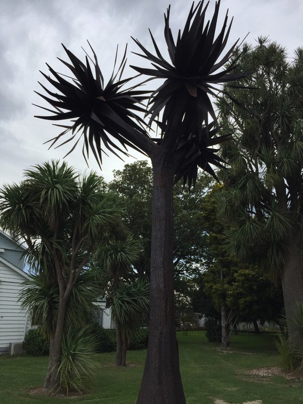 Cabbage tree and cabbage tree sculpture 