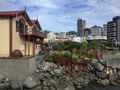 Wellington harbourside