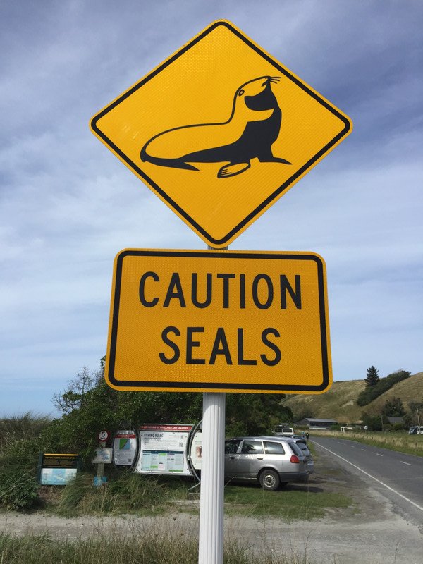 Caution seals