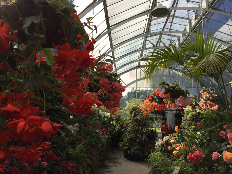 Christchurch botanic garden