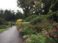 Dunedin botanic gardens 