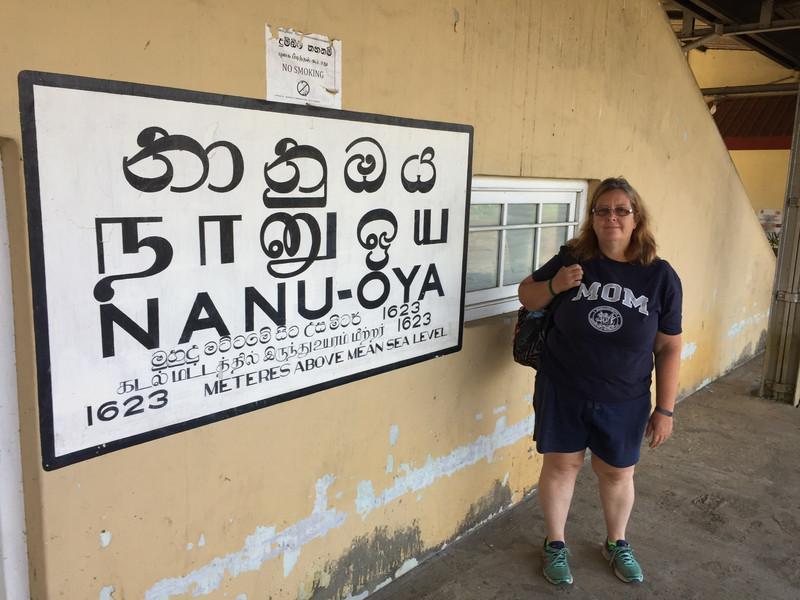 Nanu-Oya Station