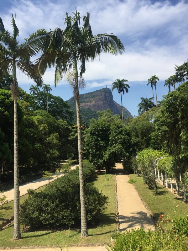 Rio Botanical Gardens - Christ the Redeemer 