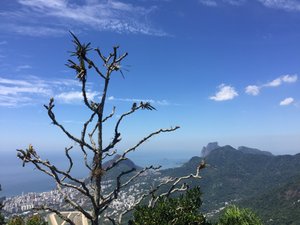 View from Christ the Redeemer 