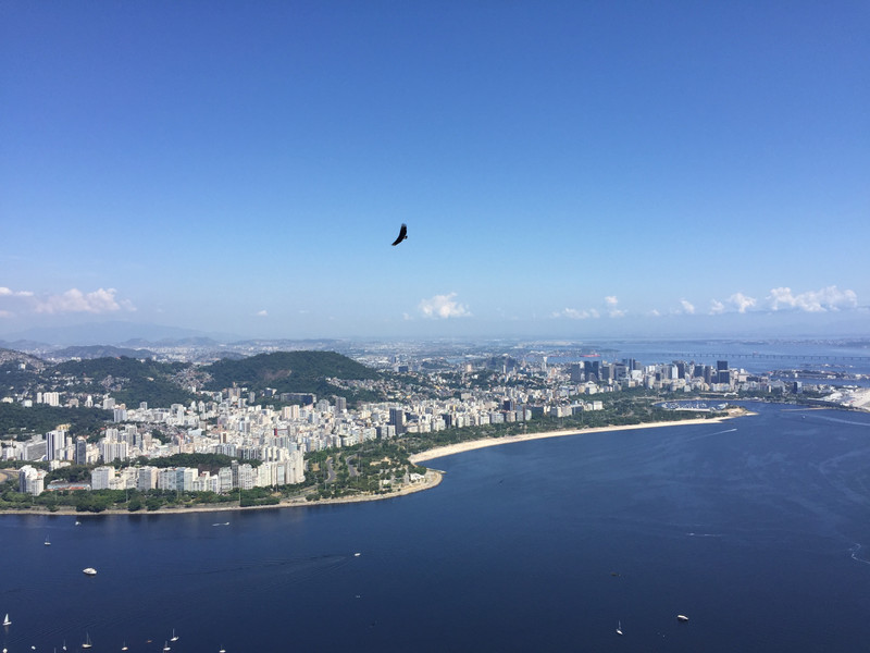 Rio from Sugarloaf Mountain 