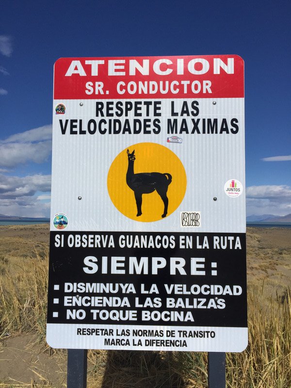 Guanaco warning 