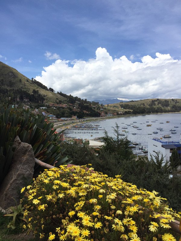 Titicaca from Las Olas