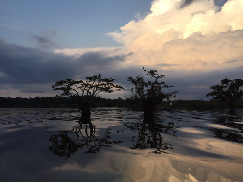 Amazon sunset 