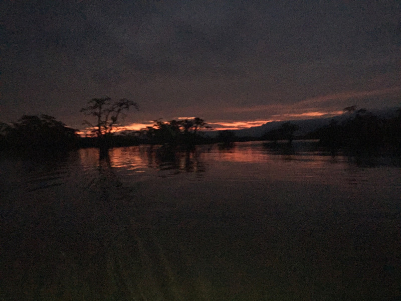 Amazon sunset 