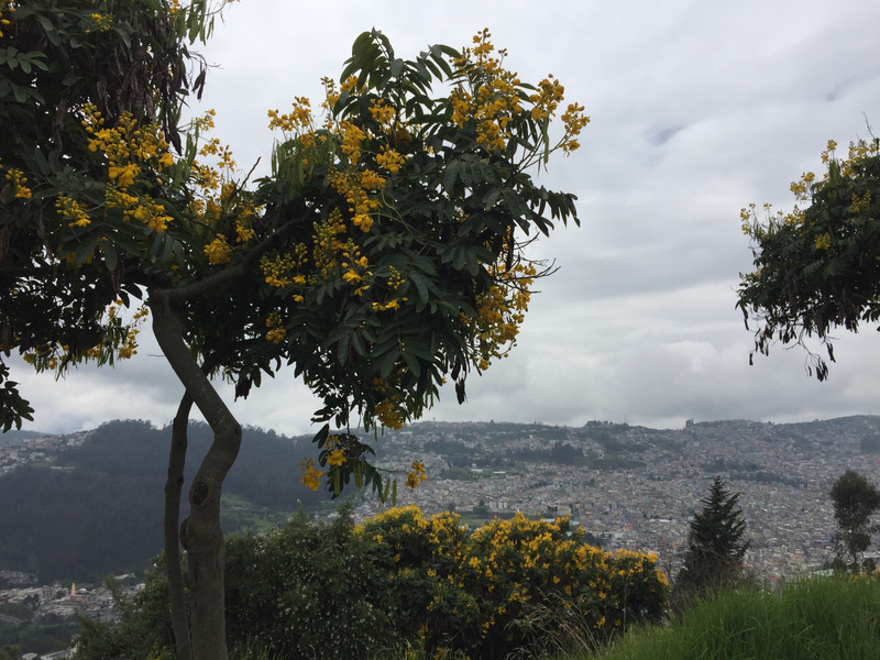 View of Quito 