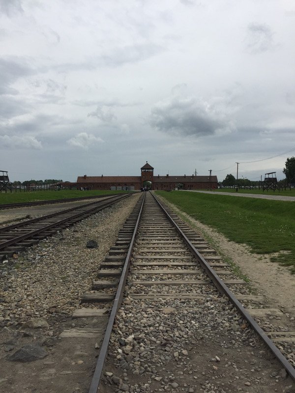 Birkenau railway track