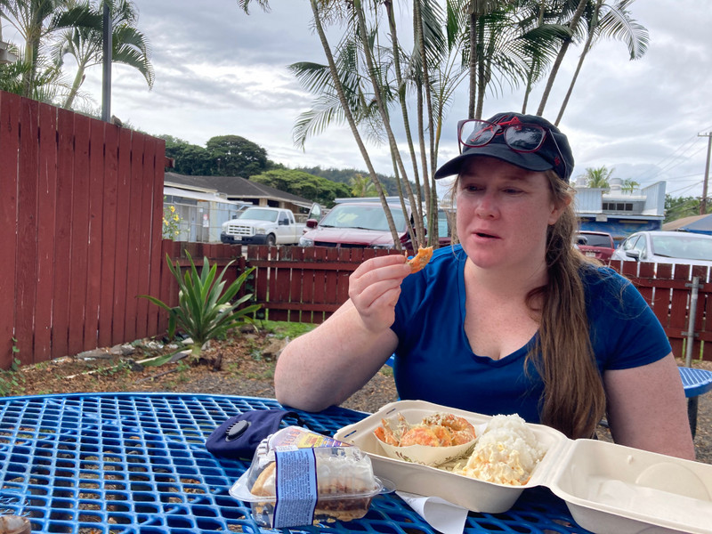 Hawaii plate lunch