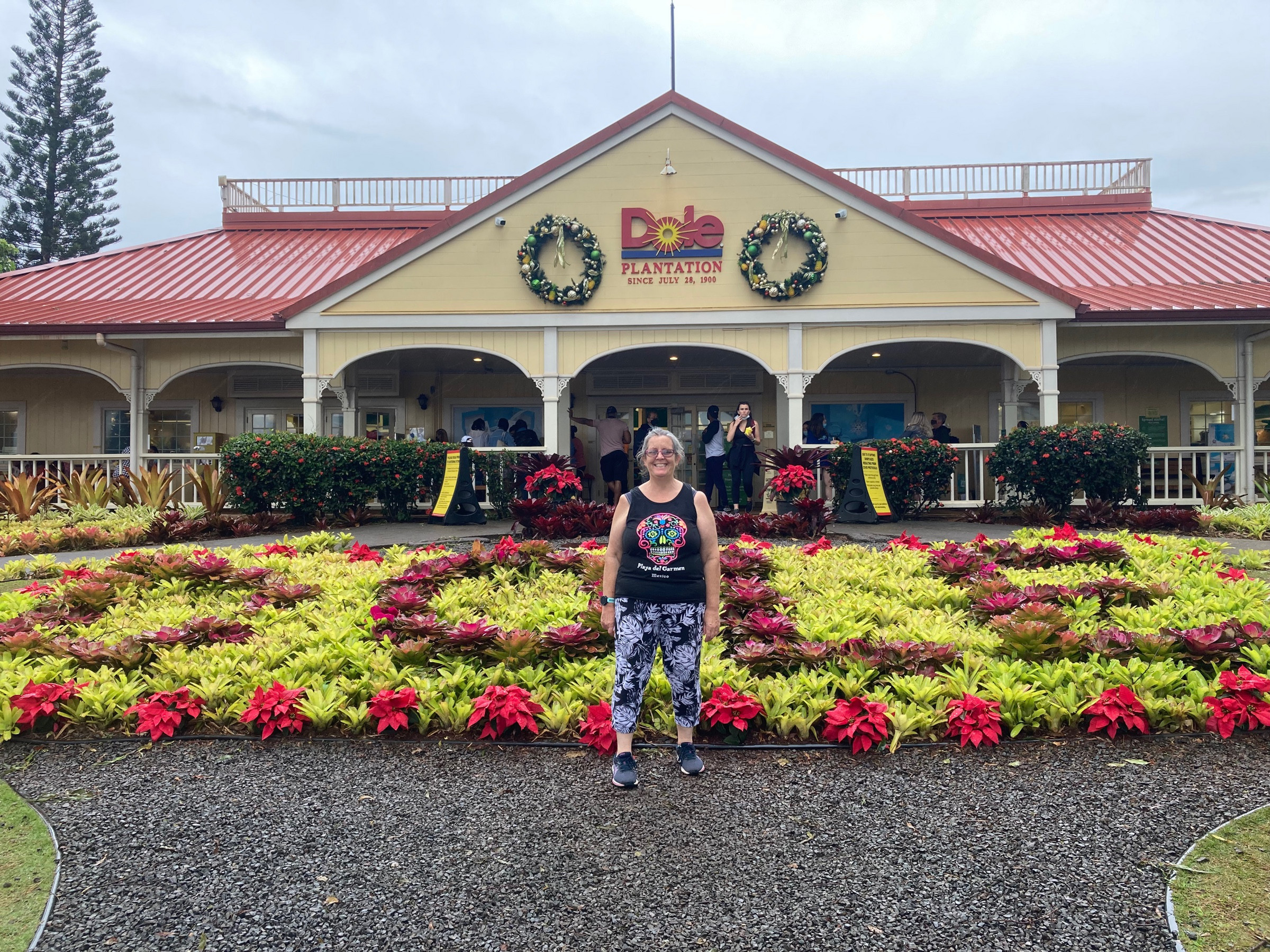 Dole plantation | Photo 