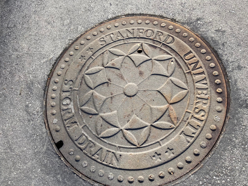 Stanford drain cover