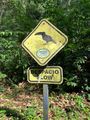 Toucans crossing
