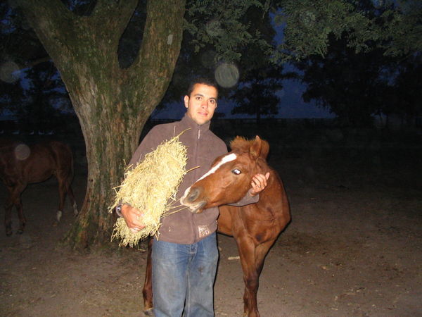 with a foal at feed time