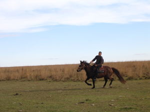 Cantering with "Si Querida"