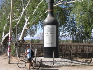 Wine bike tour in Cafayate