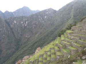 Agricultural terraces